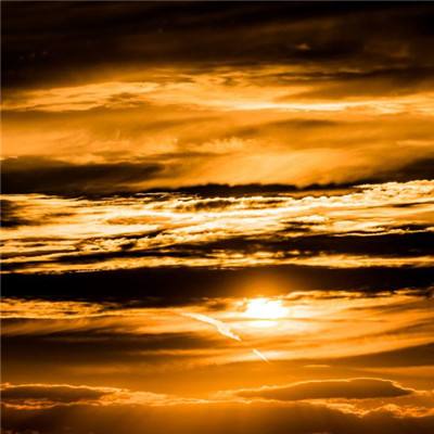 金年会下载手机版