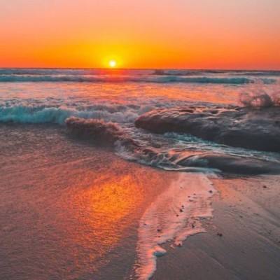 bat365在线唯一官网登录