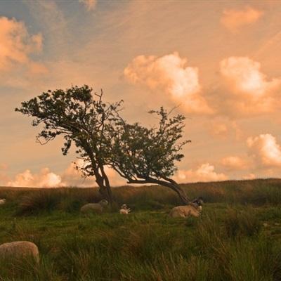 bob综合在线体育